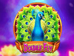 Double Fly game cover