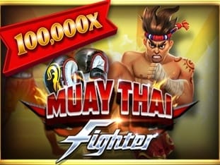 Muay Thai Fighter game cover