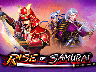 Rise Of Samurai game cover